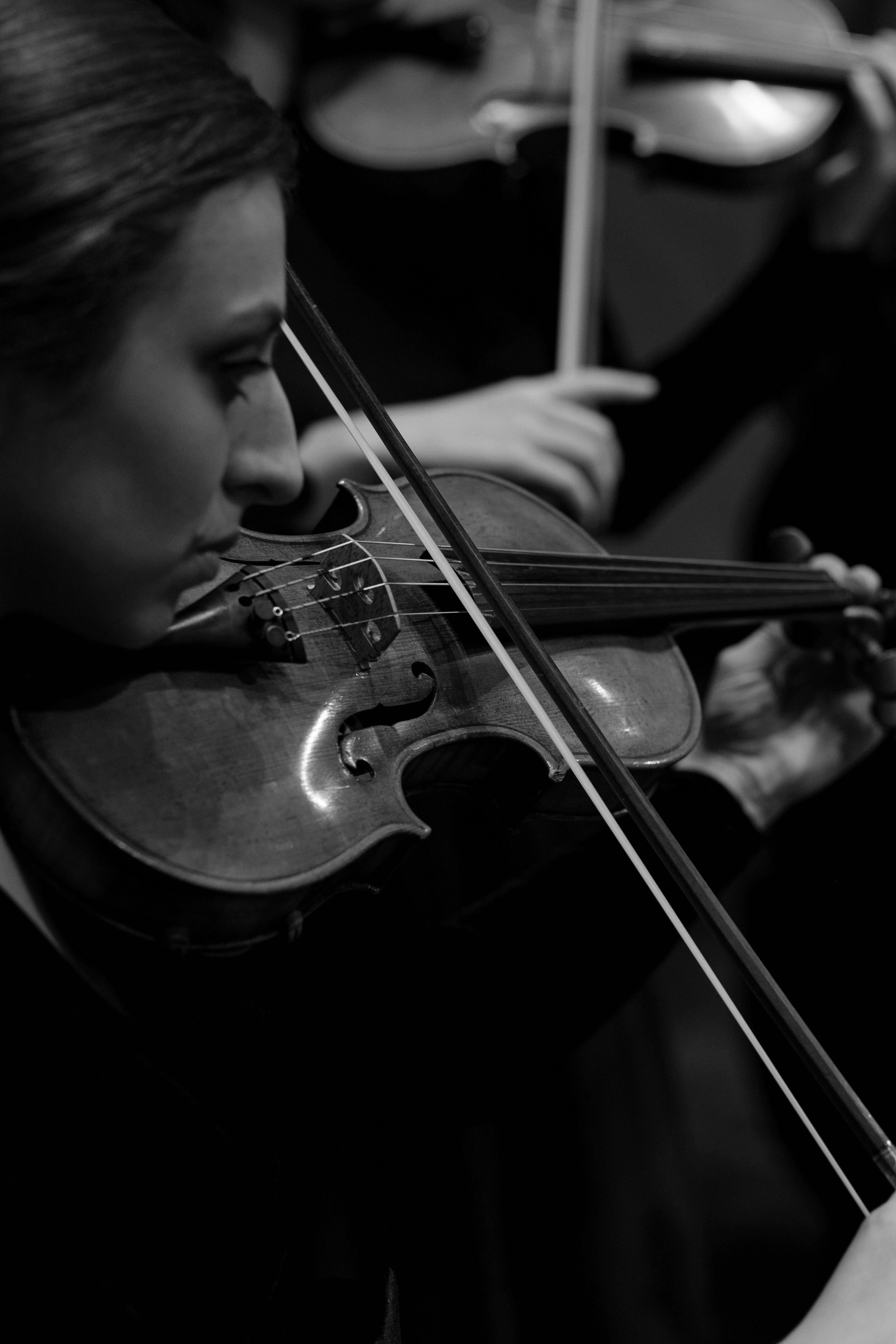 Violin
